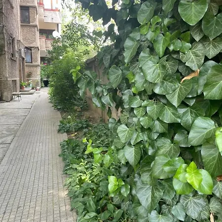 Old Centre - Unforgettable House *