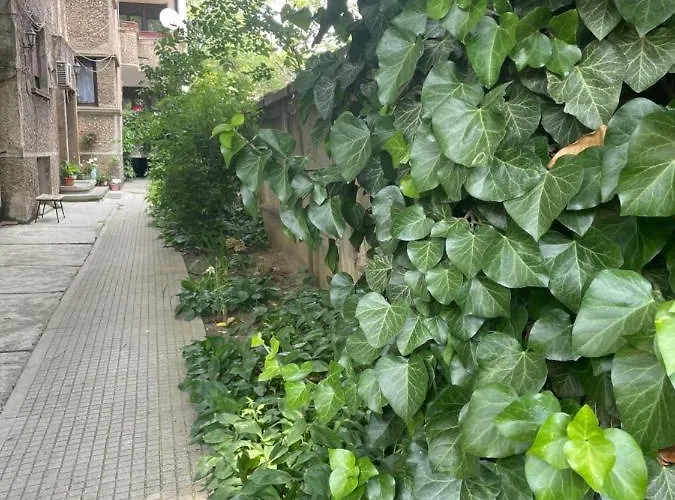 Old Centre - Unforgettable House *